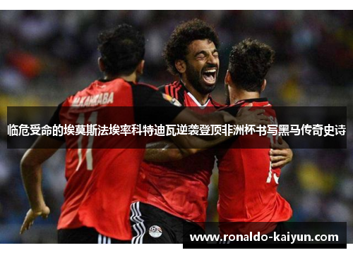 临危受命的埃莫斯法埃率科特迪瓦逆袭登顶非洲杯书写黑马传奇史诗 临危受命的埃莫斯法埃率科特迪瓦逆袭登顶非洲杯书写黑马传奇史诗